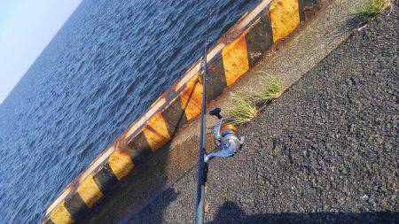 久しぶりの釣行