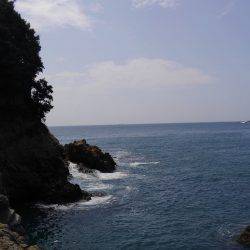 磯は無理でした