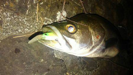 増水気味の猪名川