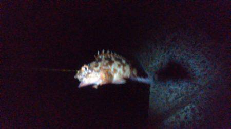 リベンジ…ならず