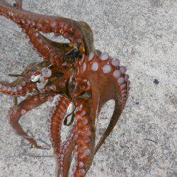 久しぶりの遠征！