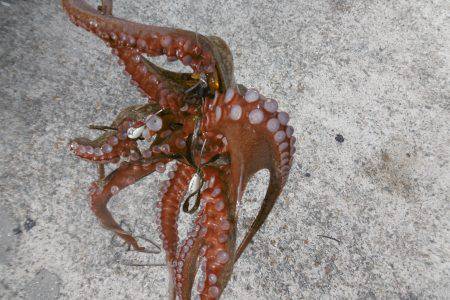 久しぶりの遠征！