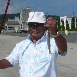 志筑バス停前でキス狙い