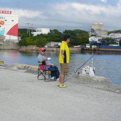 今回も夜釣りからキス狙い