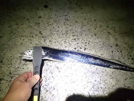 淡路島タチウオ釣行