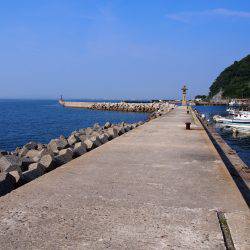 ちょこっとエギング