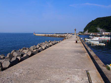 ちょこっとエギング