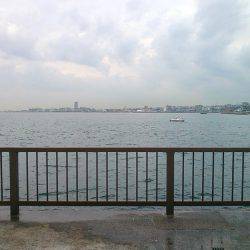 家族で短時間サビキ釣行