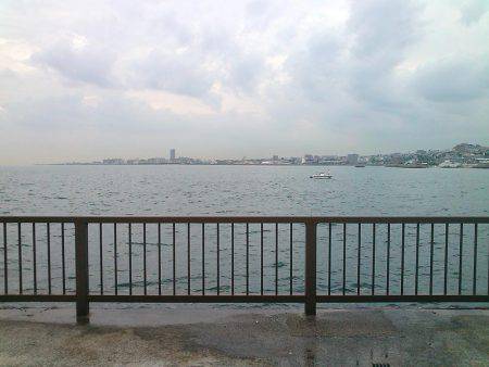 家族で短時間サビキ釣行