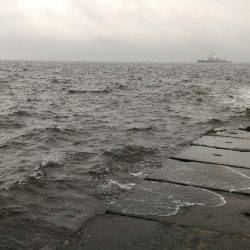 悪天候ガシラポンポン