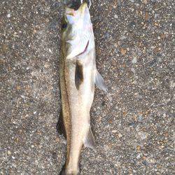 30分の地合到来