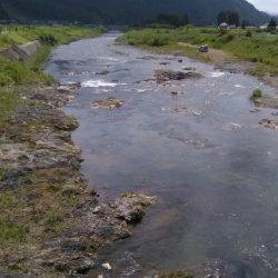 上桂川亀の甲橋