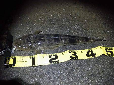 色々回ったけど反応薄かった～・・・