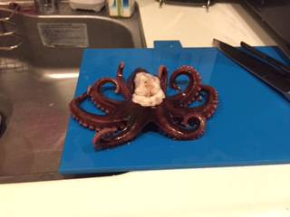 ジギングで・・・タコ。