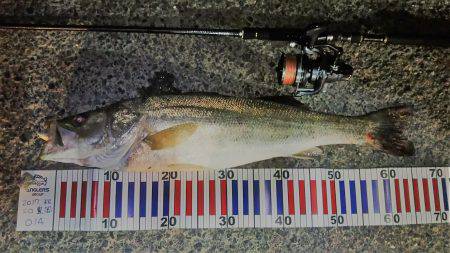 台風後の荒れた海にて