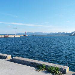 夏太刀魚 淡路島