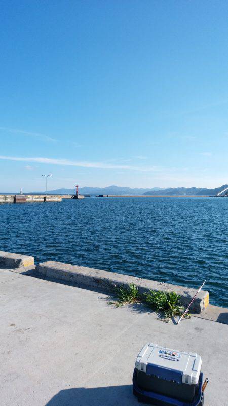 夏太刀魚 淡路島