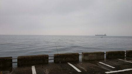 ソウダガツオ！