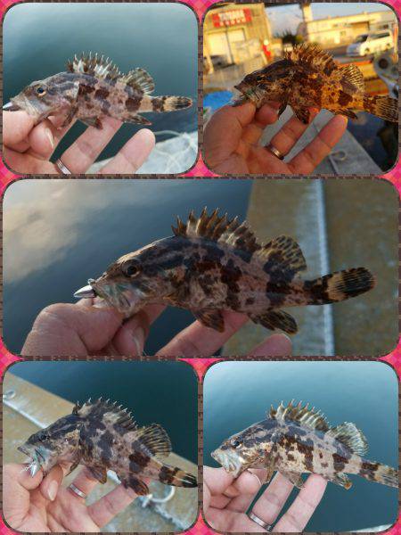 仕事終わりにライトワインド