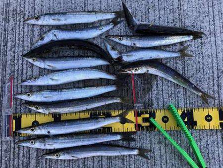 カマシング＆ケンサキング