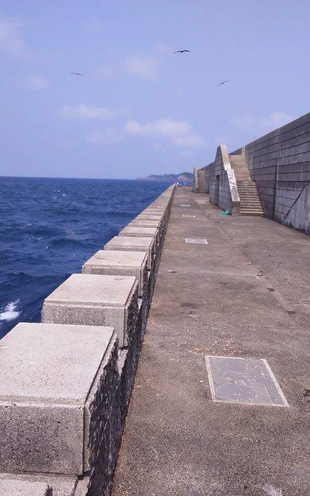 浜田　伍八波止でヒラマサ狙い