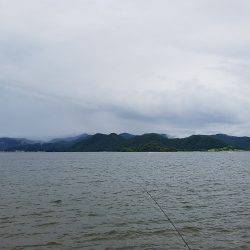 しぶめでした。