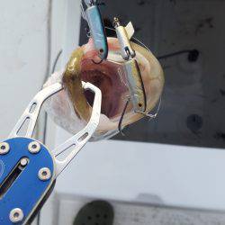 久々のマイボートフィッシング