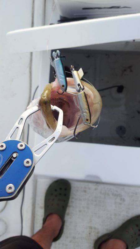 久々のマイボートフィッシング