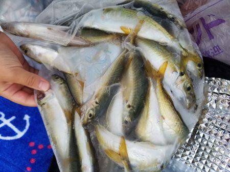 ファミリーフィッシング&キッシングリベンジ