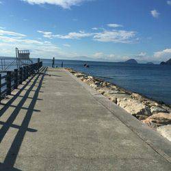 片添浜北の突堤にてかご釣り