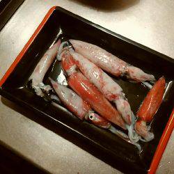 ケンサキさん!(^^)!とアオリさん(;_;)/~~~