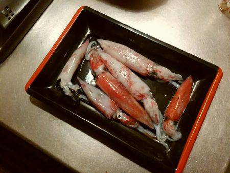 ケンサキさん!(^^)!とアオリさん(;_;)/~~~