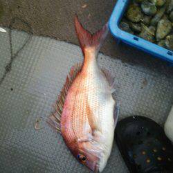 オールナイト釣行