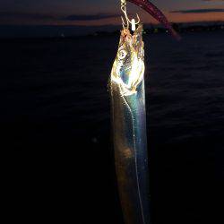 やっぱりMNGはすごい‼