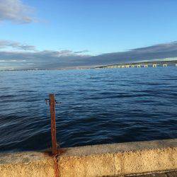 朝マズメ マーブルビーチにて