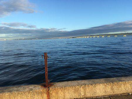 朝マズメ マーブルビーチにて