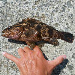 ボーッとしてたらいきなり