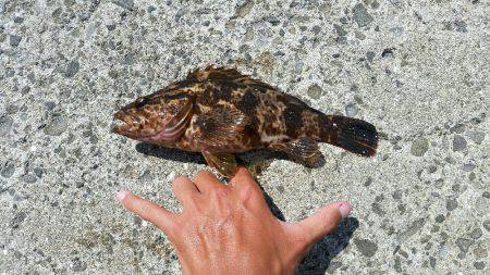 ボーッとしてたらいきなり