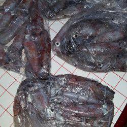 やったりましたわ〰‼