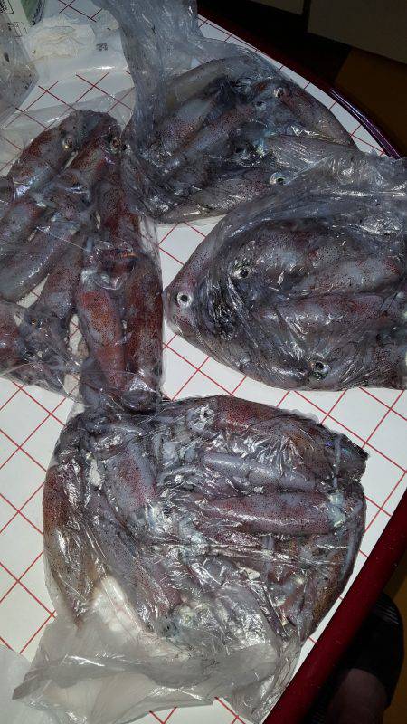 やったりましたわ〰‼