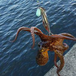 毎週恒例の沖堤防！