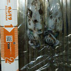 秋イカどうかなー♪