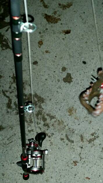 タコ一杯釣るまで帰らない