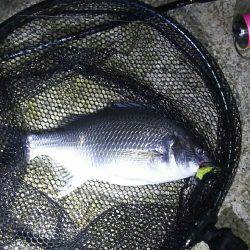 2時間ほどの楽しみ