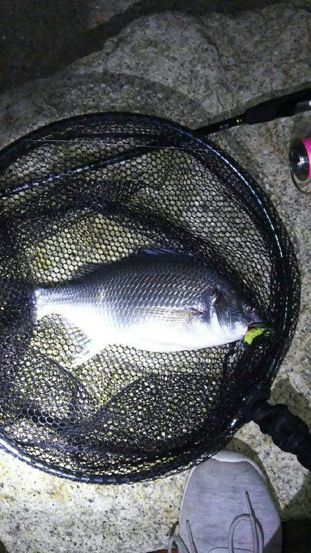 2時間ほどの楽しみ