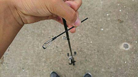 岸ジグチーバス