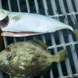 朝からまったりと