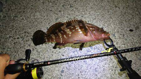 30オーバーアコウ ！