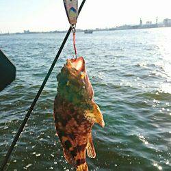 岸ジグでガシーバス