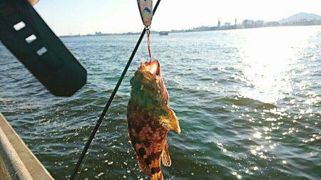 岸ジグでガシーバス